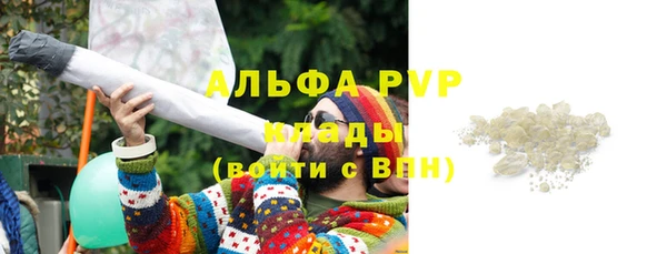 крисы Алзамай