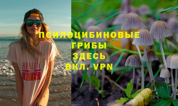 крисы Алзамай